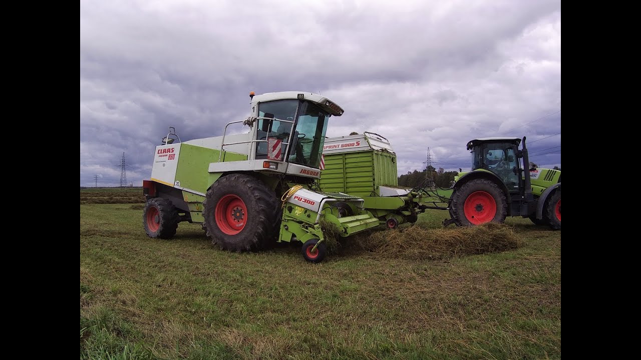 ZBIÓR TRAW SIECZKARNIĄ 2022 /GR KRENCZYK/CLAAS JAGUAR 880/5x CLAAS/IHC 1246 CASE/CASE IH PUMA/STEYR