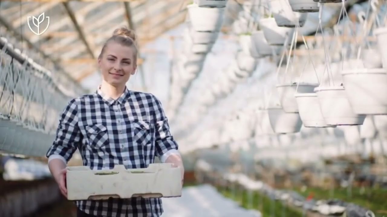 Sektor rolnictwa - pracownicy sezonowi