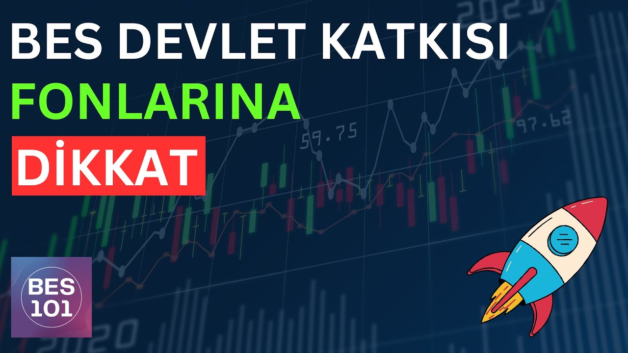 BES Devlet Katkısı Fonunu Y&ouml;netenler - Y&ouml;netemeyenler Topluluğu