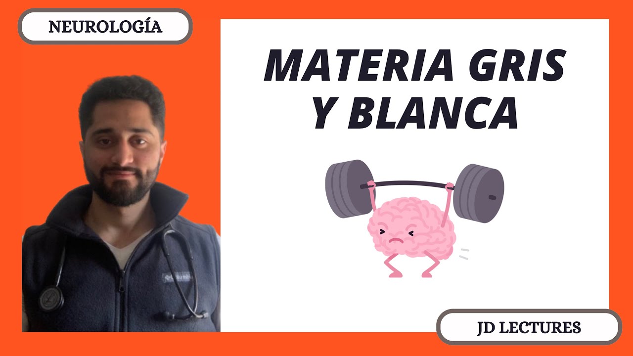 MATERIA GRIS Y MATERIA BLANCA | NEUROLOGÍA