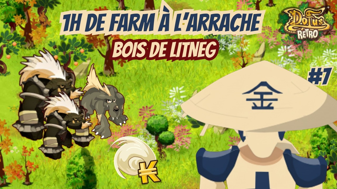 [Dofus Retro] BOIS DE LITNEG (ZONE INSANE EN IOP) : 1H DE FARM &Agrave; L'ARRACHE #7