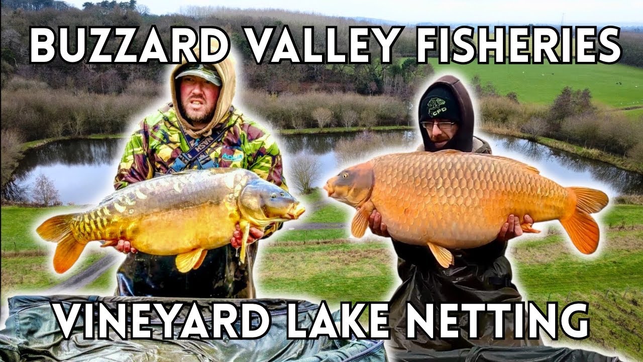 Рыболовное хозяйство Buzzard Valley Fisheries Vineyard: ОРИГИНАЛ, пойманный в озере!