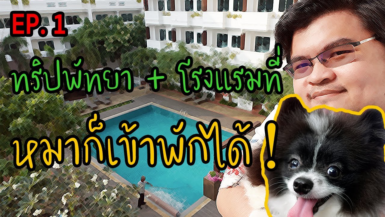 ทริปปีใหม่ 2565 เที่ยวพัทยาพักที่โรงแรม Hill Fresco Hotel Pattaya หมาก็พักได้ | EP. 1 | 05 ม.ค. 65