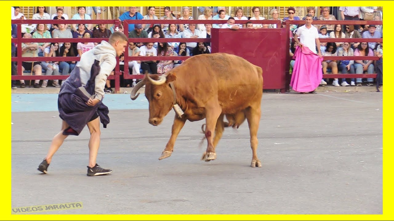 TAUSTE ( ZARAGOZA ) TARDE VACAS PLAZA Y CALLE ( DOMINGO 7 MAYO 2023 ) GANAD.VIRGEN DE SANCHO ABARCA