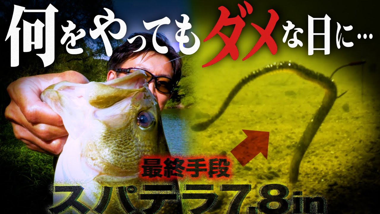 何をやっても釣れない日に試してほしい最終手段「スパテラ7.8in」