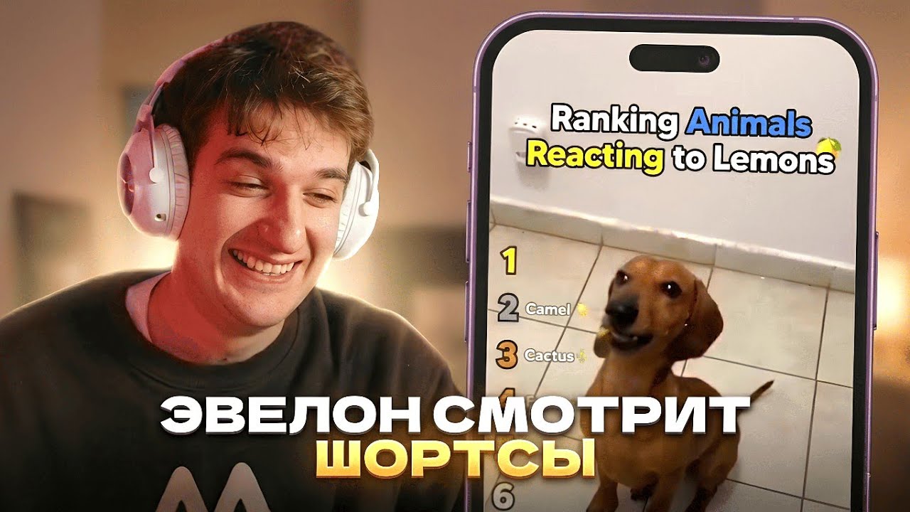 ЭВЕЛОН СМОТРИТ ШОРТСЫ - САМЫЕ СМЕШНЫЕ ВИДЕО