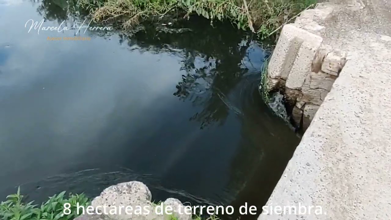 𝐓𝐞𝐫𝐫𝐞𝐧𝐨 𝐞𝐧 𝐯𝐞𝐧𝐭𝐚 | 𝐇𝐞𝐫𝐦𝐨𝐬𝐢𝐥𝐥𝐨 𝐬𝐮𝐫𝐩𝐨𝐧𝐢𝐞𝐧𝐭𝐞 | 𝐕𝐢𝐥𝐥𝐚 𝐝𝐞 𝐒𝐞𝐫𝐢𝐬 | Marcela Herrera Bienes Ra&iacute;ces | Dos31