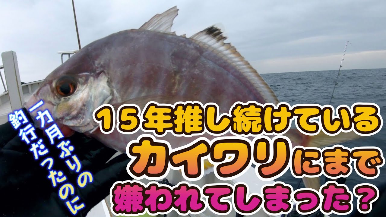 ウィリーにはミズフグだけ。多彩なゲストに翻弄されるもお刺身級カイワリで満足♪～一投目で本命顏見て今日はイケると思ったが…～（2025.5.24 宇佐美・治久丸 午後カイワリ）
