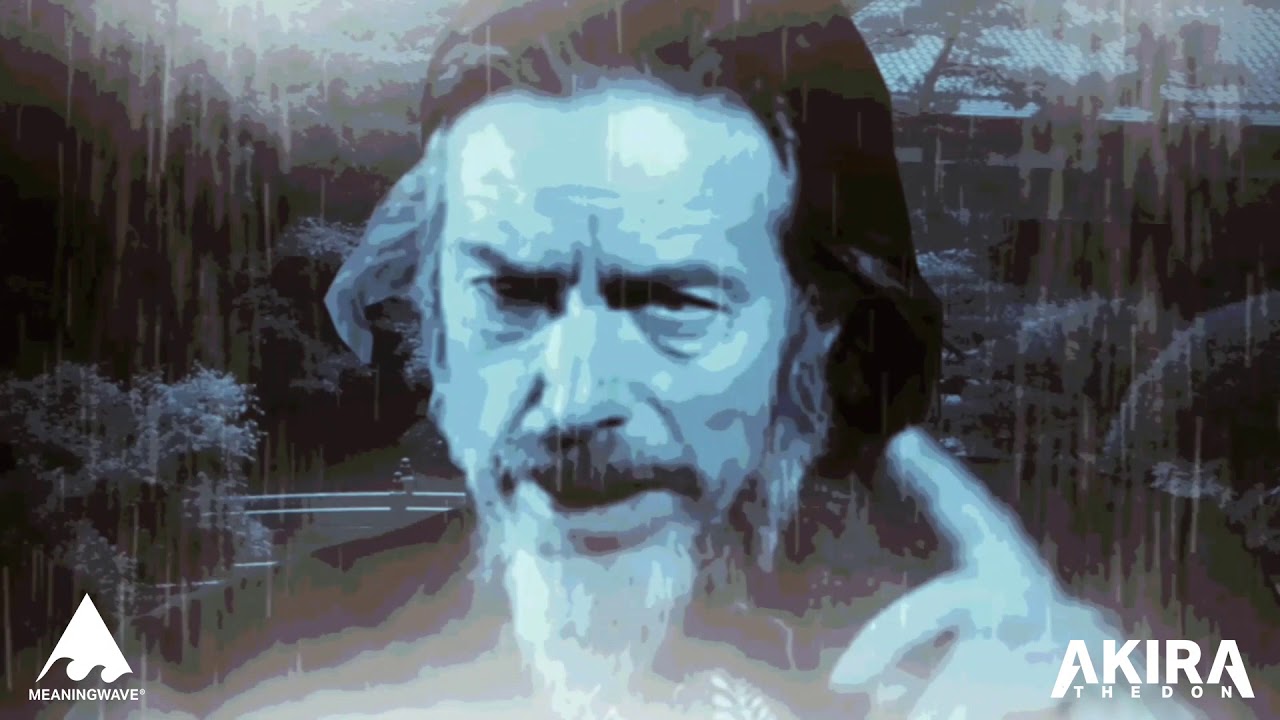Alan Watts - The Sound of the Rain Needs No Translation | W A T  T S W A V E | VISUAL | MEANINGWAVE