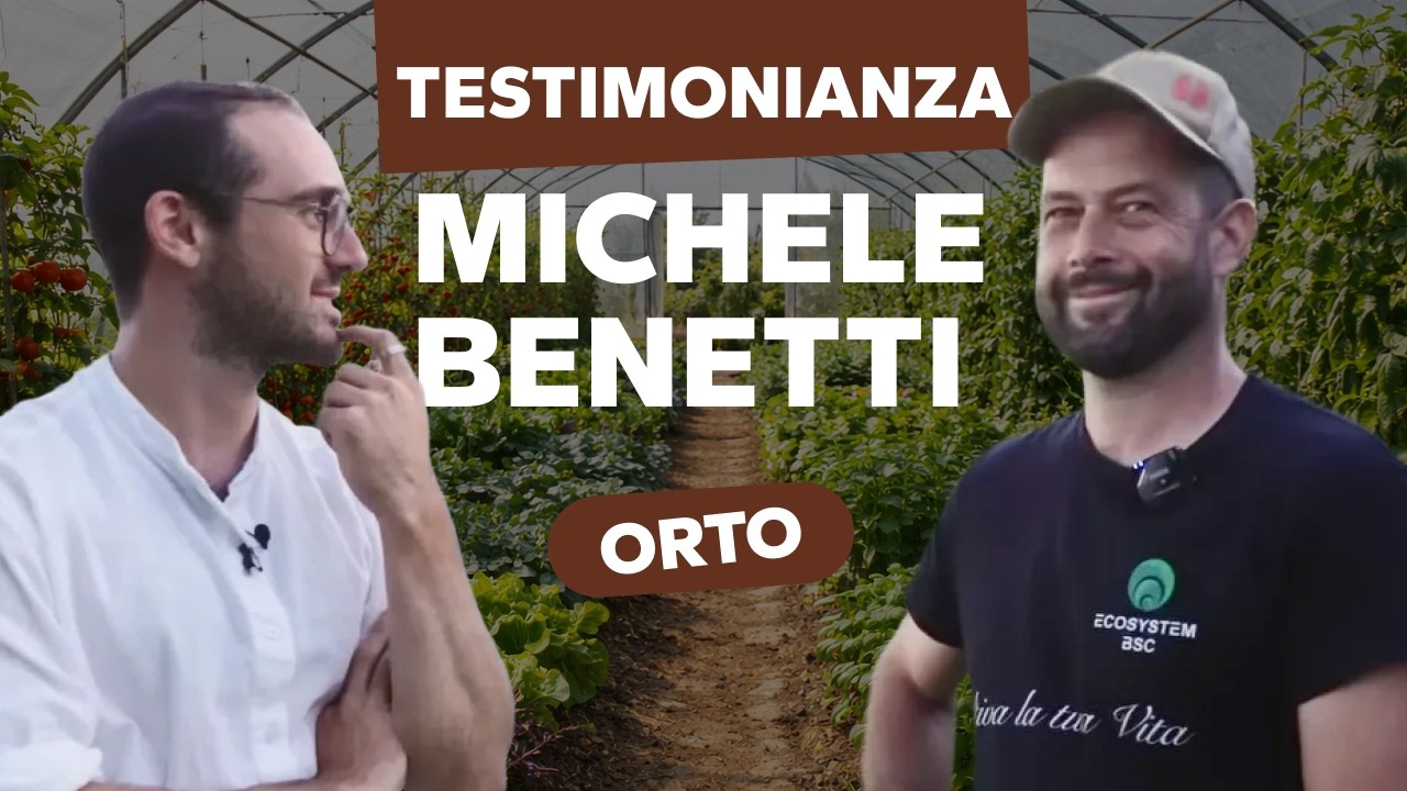 Guadagnare €800 grazie ad un orto di soli 250mq grazie al nostro Metodo BSC