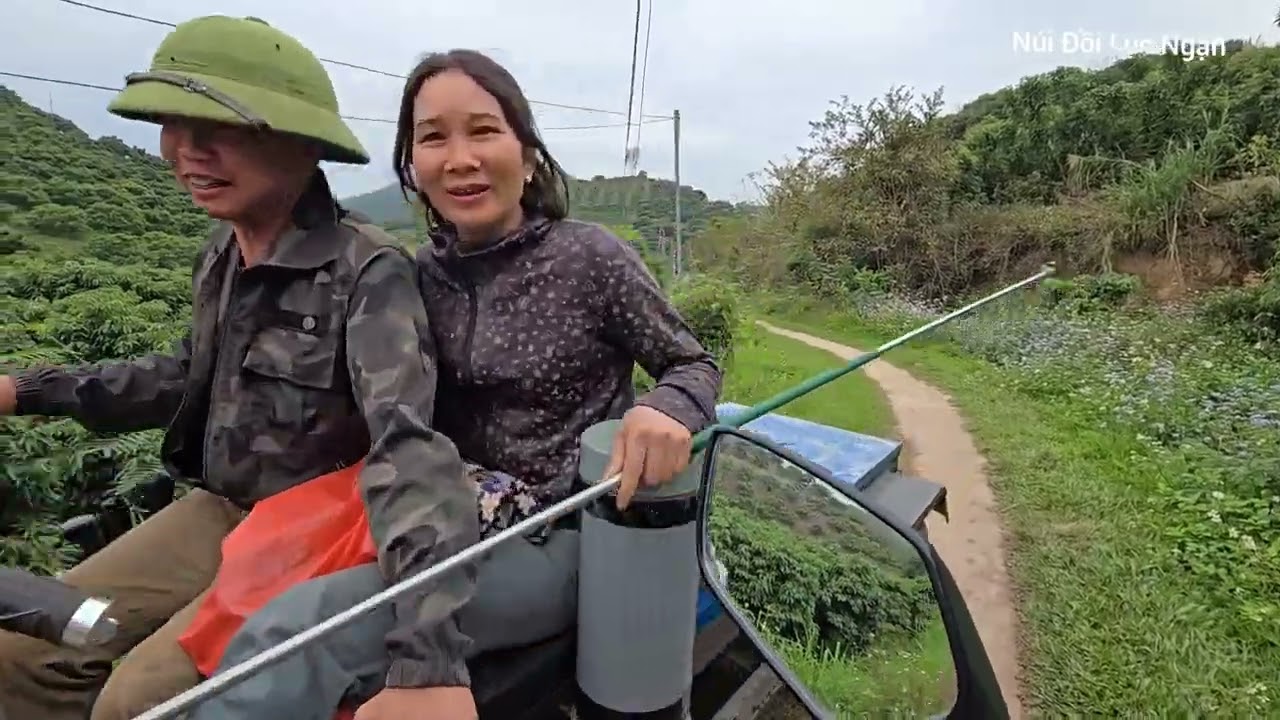 VẢI THIỀU LỤC NGẠN CHUYỂN HOA THÀNH LỘC I NÚI ĐỒI LỤC NGẠN