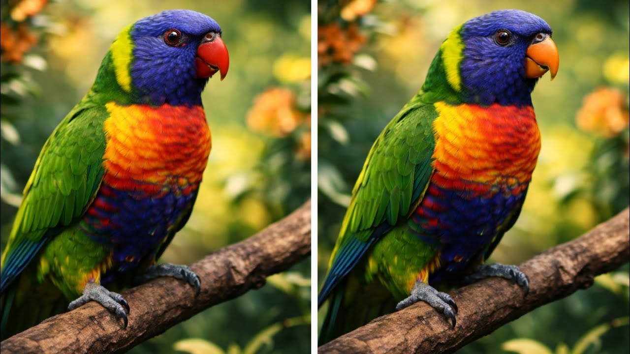 Prasad is live! Parrot Know 3 Difference | Prasad