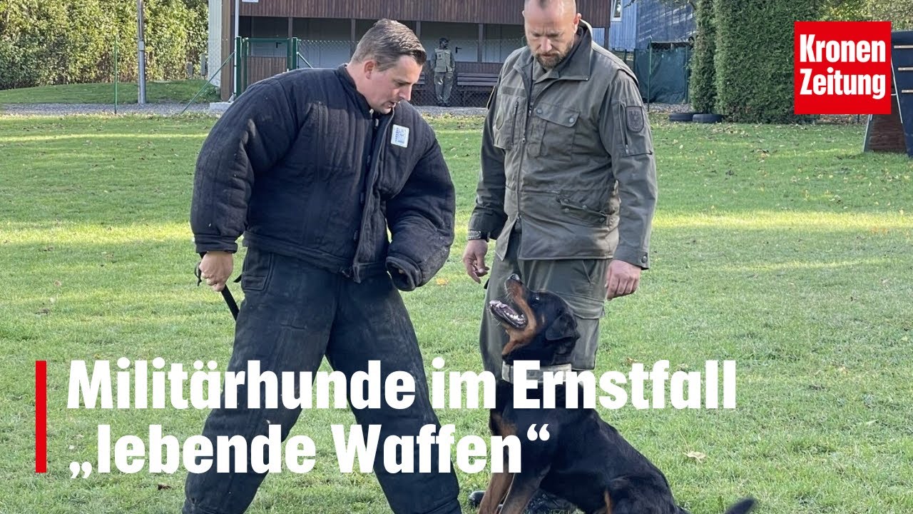 Militärhunde sind im Ernstfall „lebende Waffen“ | krone.tv NEWS