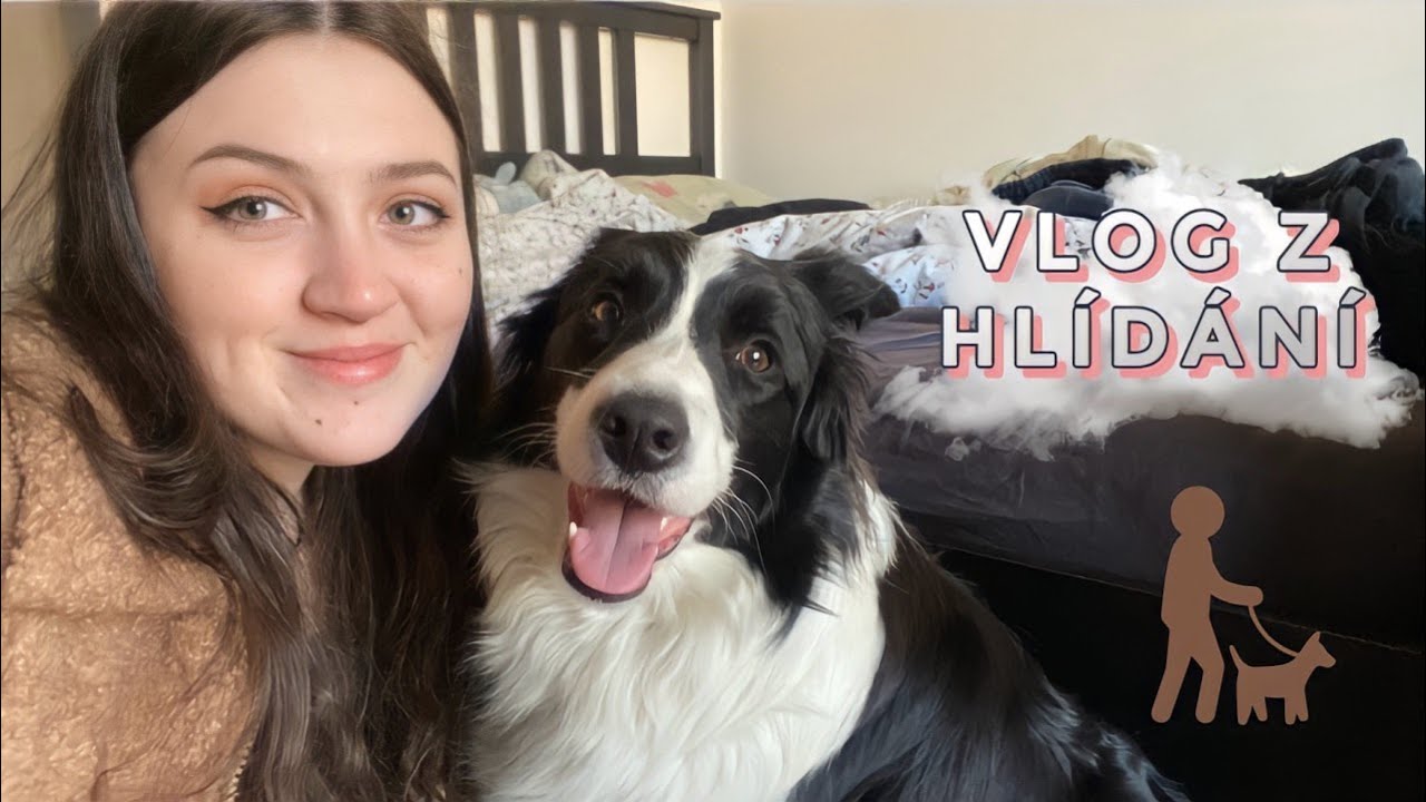 hlídání psa, práce, uklízení | VLOG