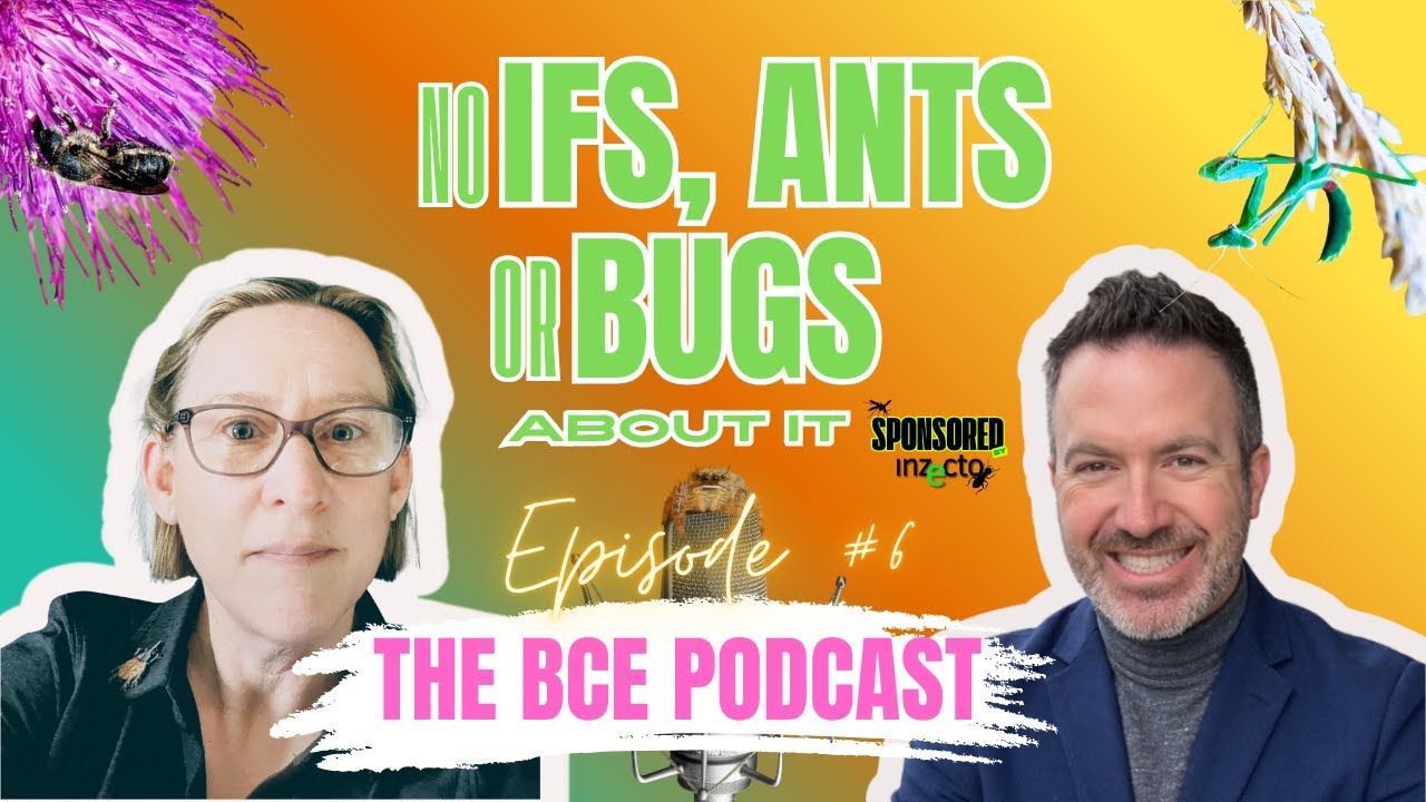 The BCE Podcast Episode #6 with David Newfang from Inzecto