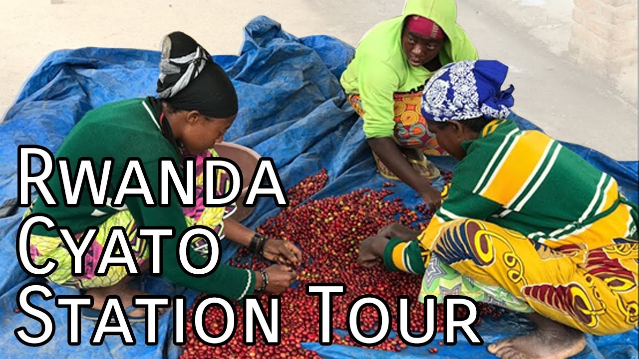 Rwanda Cyato Station Tour