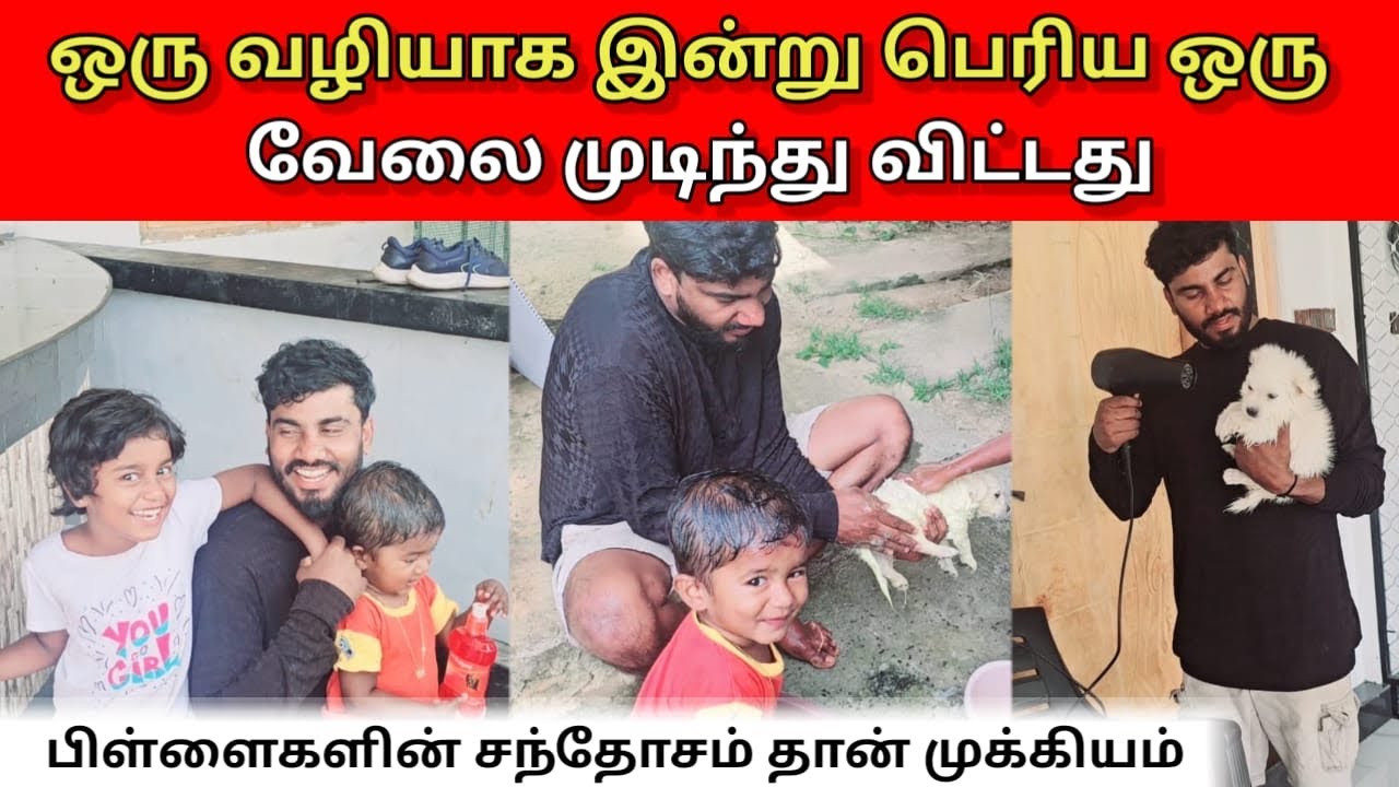 ஒரு வழியாக இன்று பெரிய ஒரு வேலை முடிந்து விட்டது…?   | Vlog | ANU WITH VASANTH 