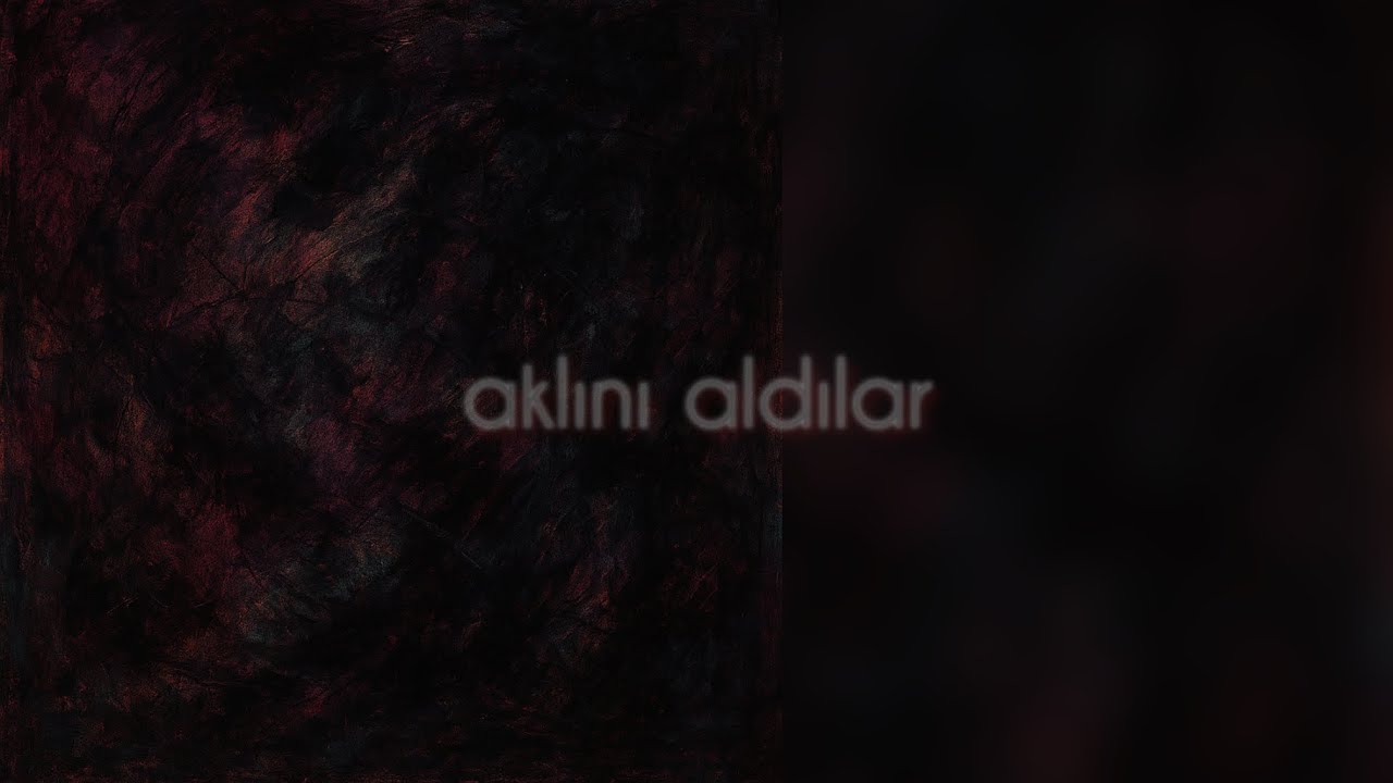 Taner Turan - aklını aldılar