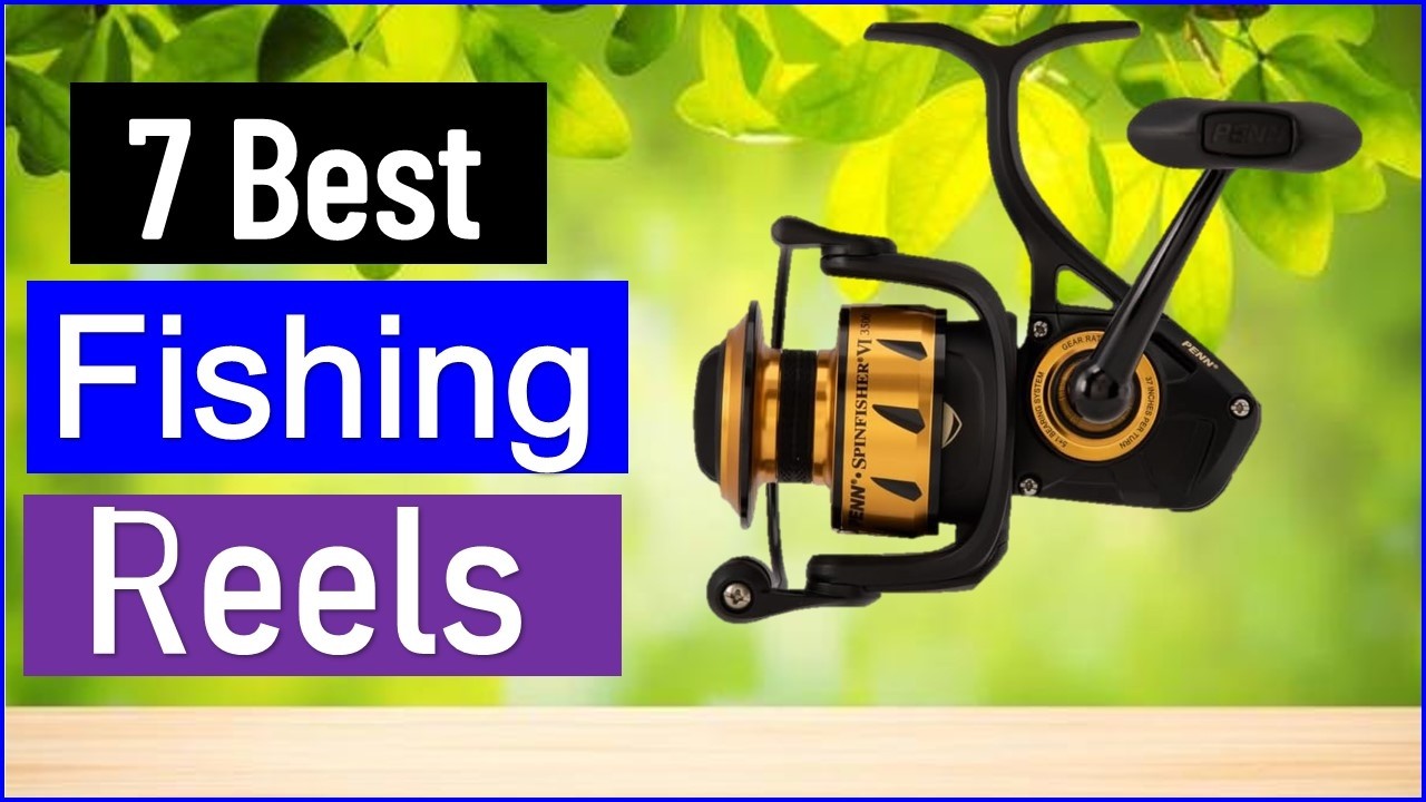 Best Fishing Reels in 2026 | Top 7 Best Fishing Reels - Reviewed