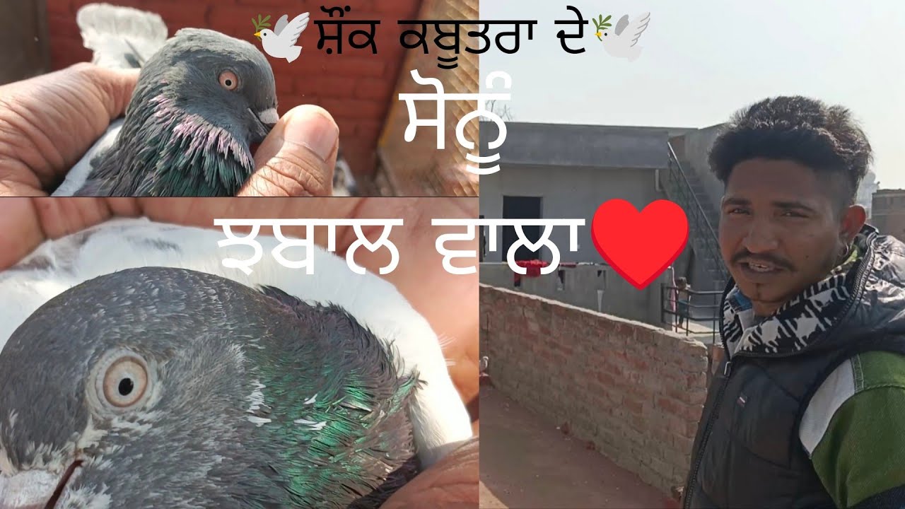 FIRST VLOG♥️🕊️