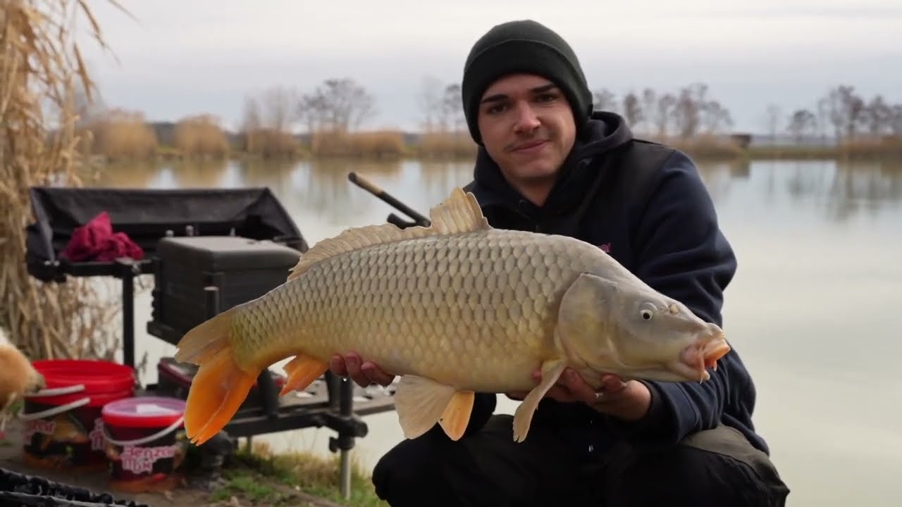 Benzar Mix Cold Water Carp Set with feeder bucket