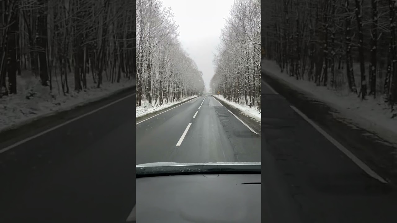 POV #hgv #truck #trucks #driver #gopro