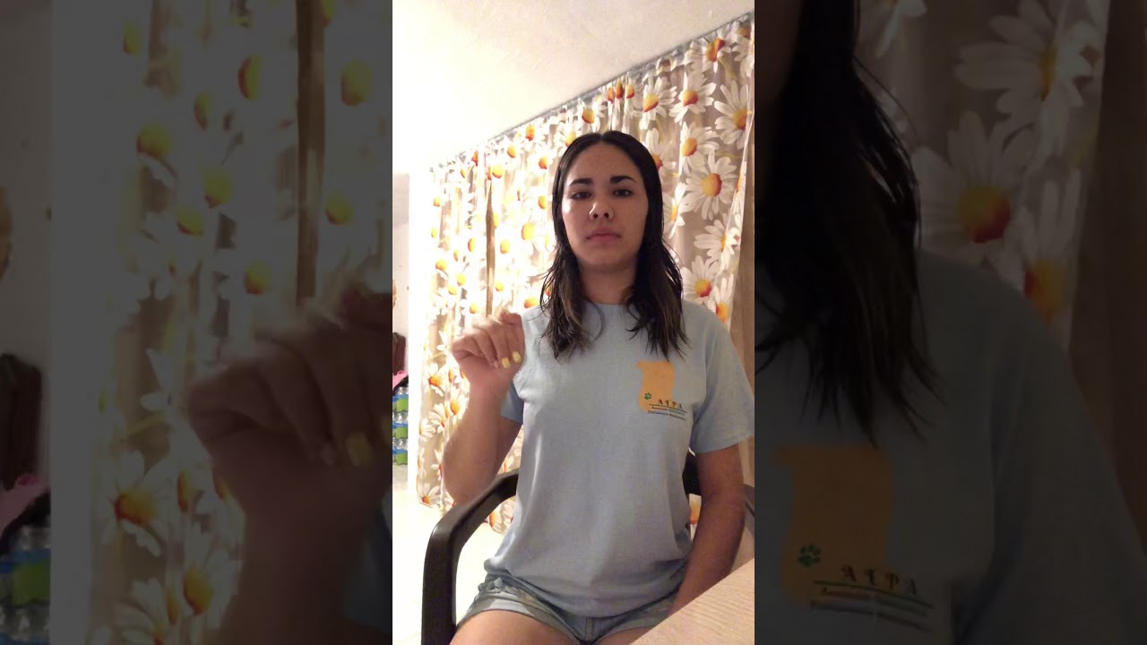 Quiz #2 Lenguanje de Se&ntilde;as