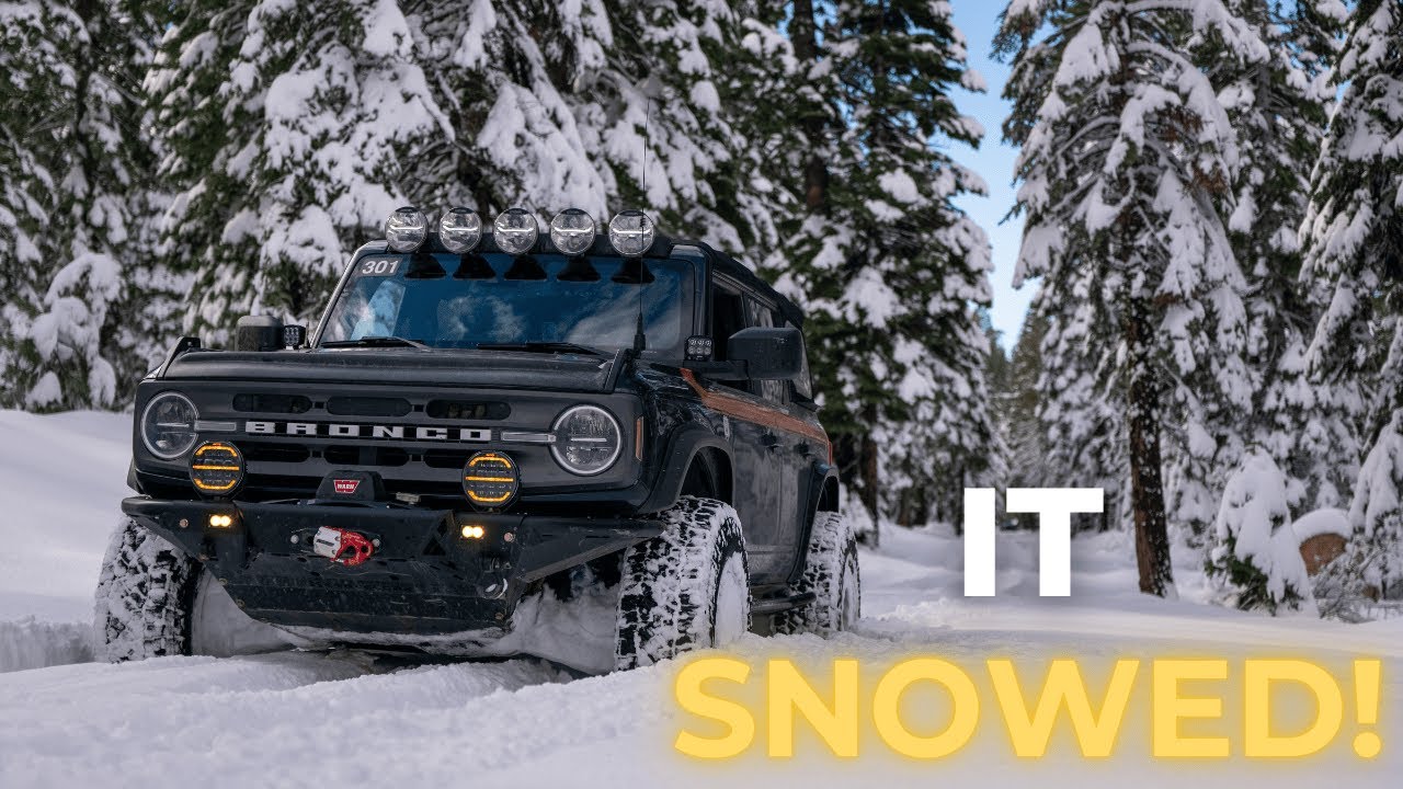 У нас была УЖАСНАЯ снежная буря!