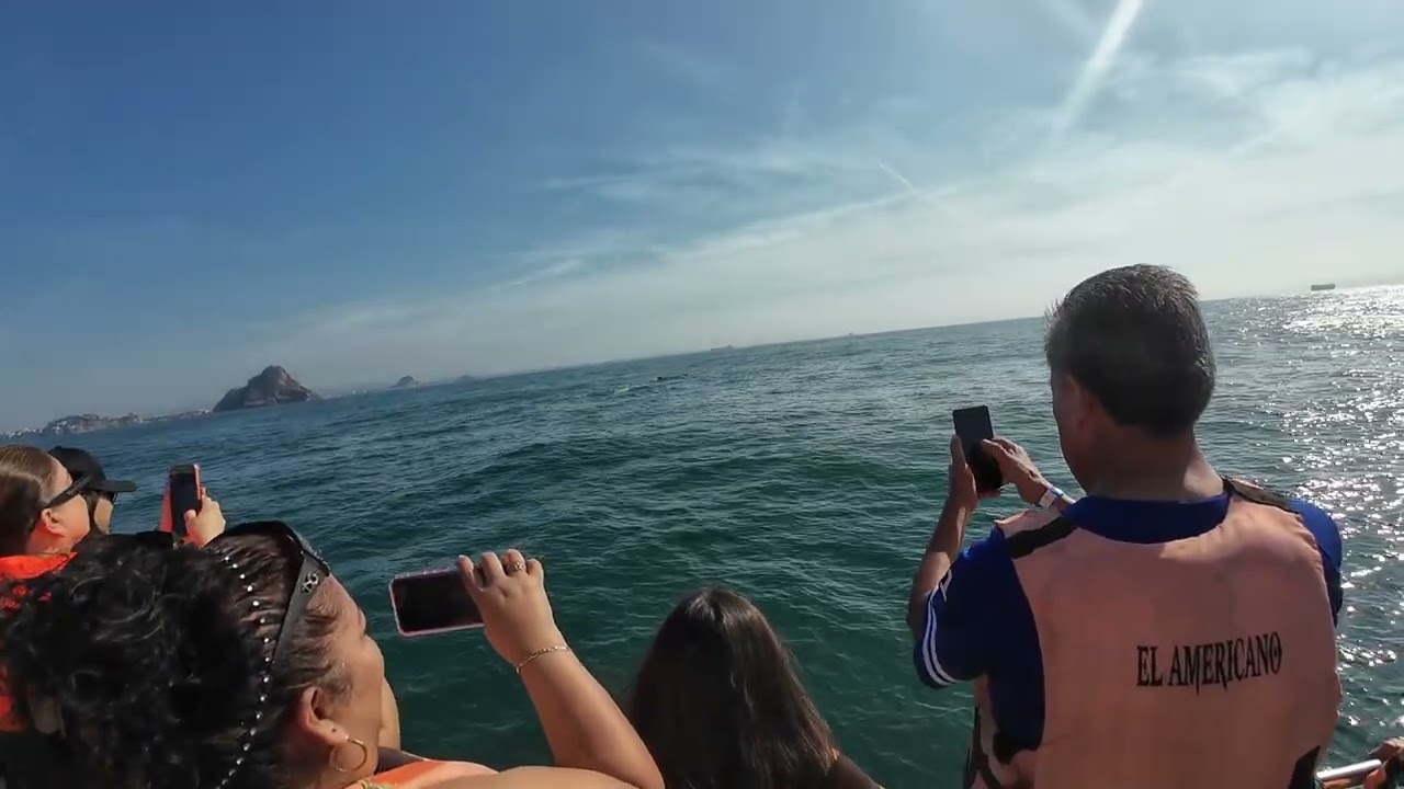 BALLENA EN MAZATLAN S30 Y 70