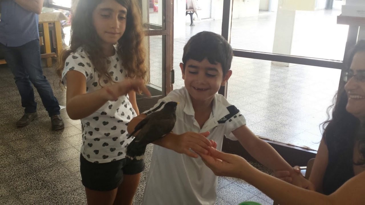 מצגת בת מצווה - קליפ נולד