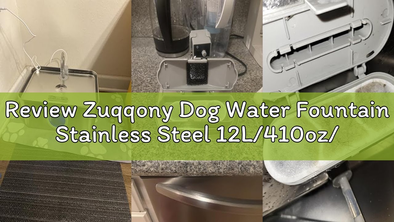 Review Zuqqony Dog Water Fountain Stainless Steel 12L/410oz/3.2Gal, DYSJ01 Ultra Quiet Pet Water Fou