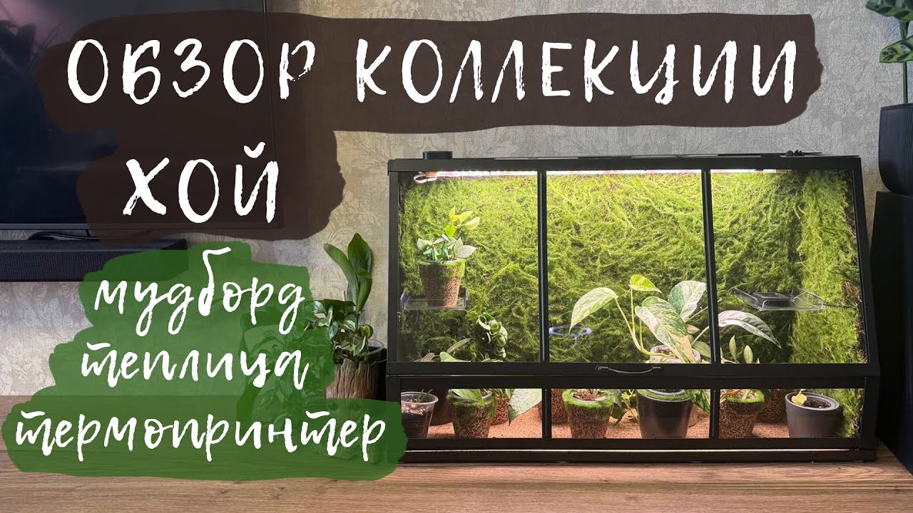 Обзор коллекции хой 2025 | Часть 3 | Мудборд, теплица ИКЕЯ,  термопринтер