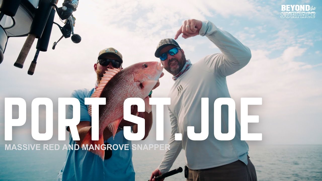 JUMBO RED SNAPPERS AND MANGROVE SNAPPERS in PORT ST.JOE FLORIDA