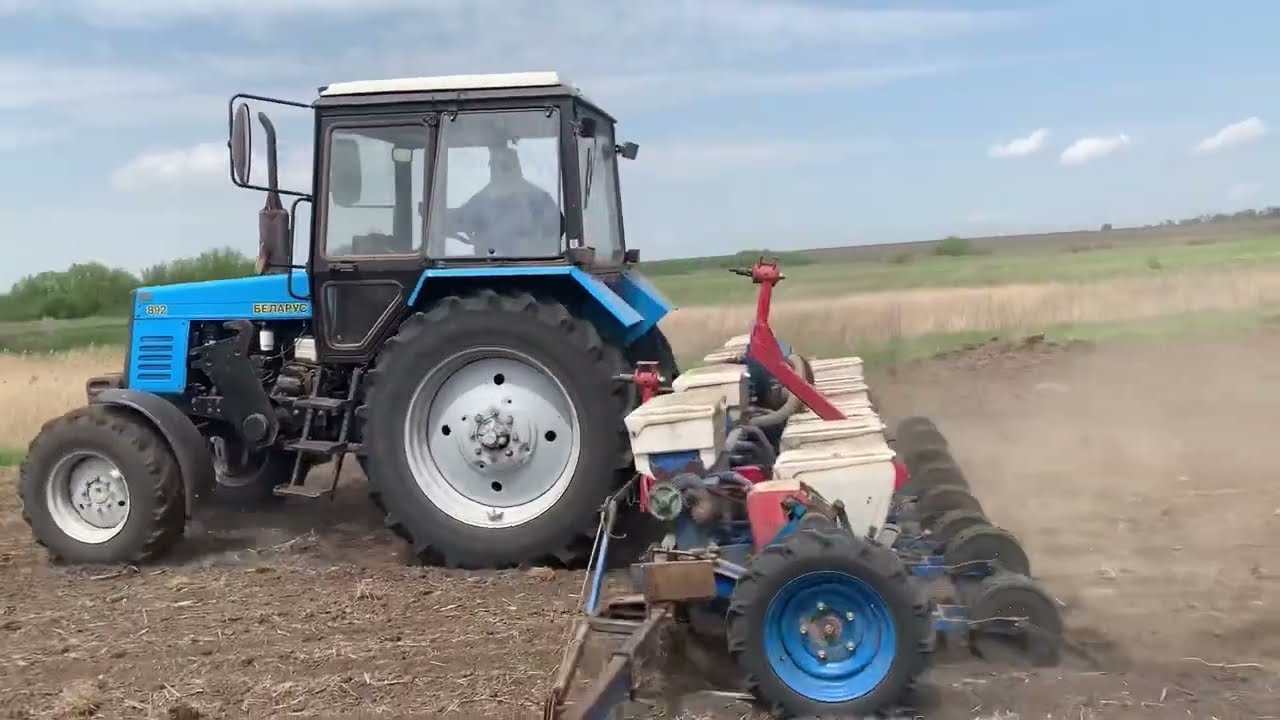 Сеем подсолнух SYNGENTA Kupava на МТЗ-892 и УПС-8 работа кипит.13.05.2022