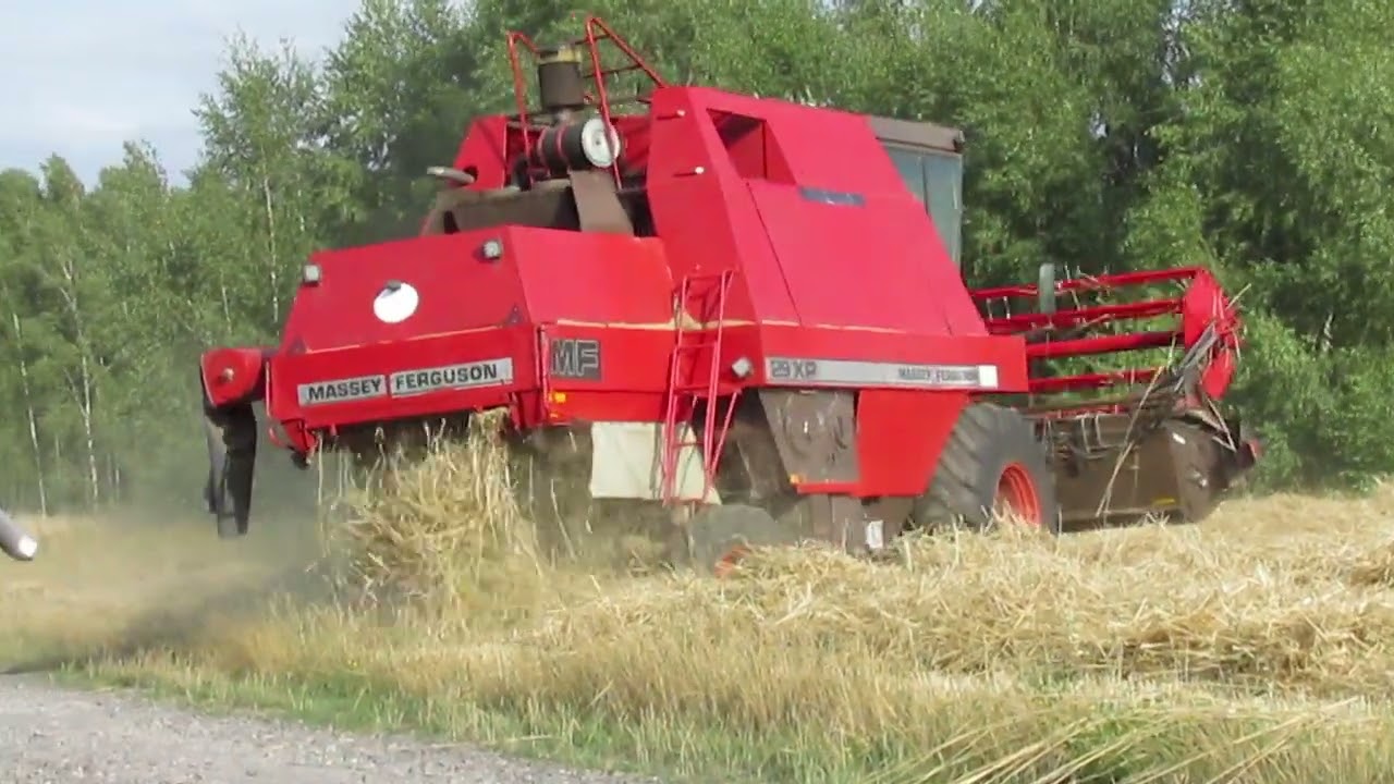 Massey Ferguson 29XP