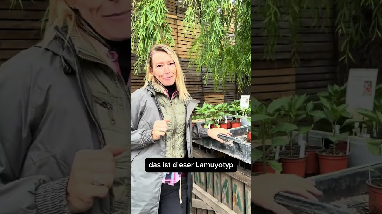 Der kleinste Garten ist ein Topf. 🪴💚