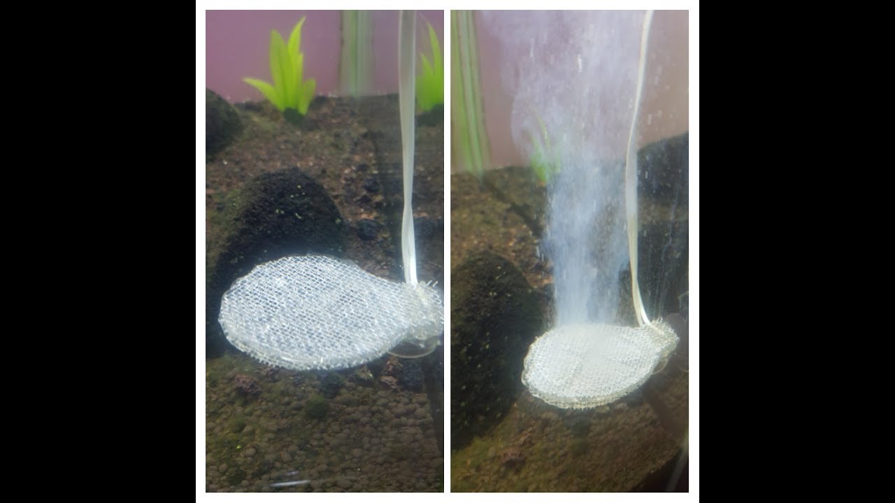 DIY Twinstar Aquarium sterilizer in -5mins part 1 | معقم لاحواض السمك للتغلب علي الطحالب
