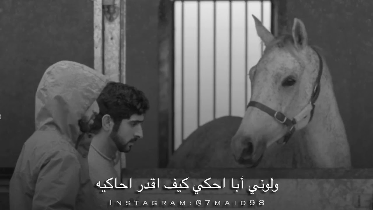 فزاع - ماقد عصاني
