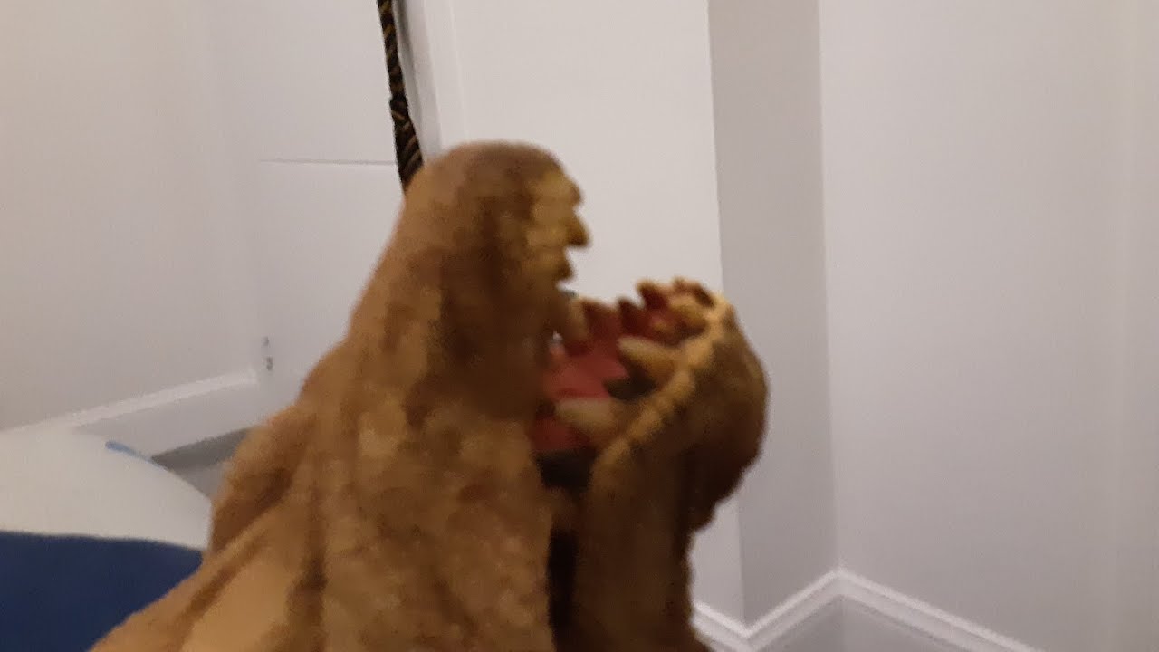 BFCT7 2: РЕВ!