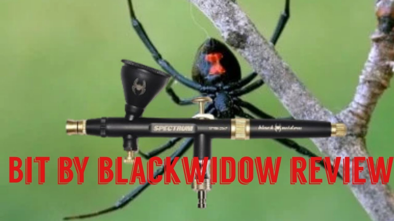 Black Widow Airbrush unboxing and initial review