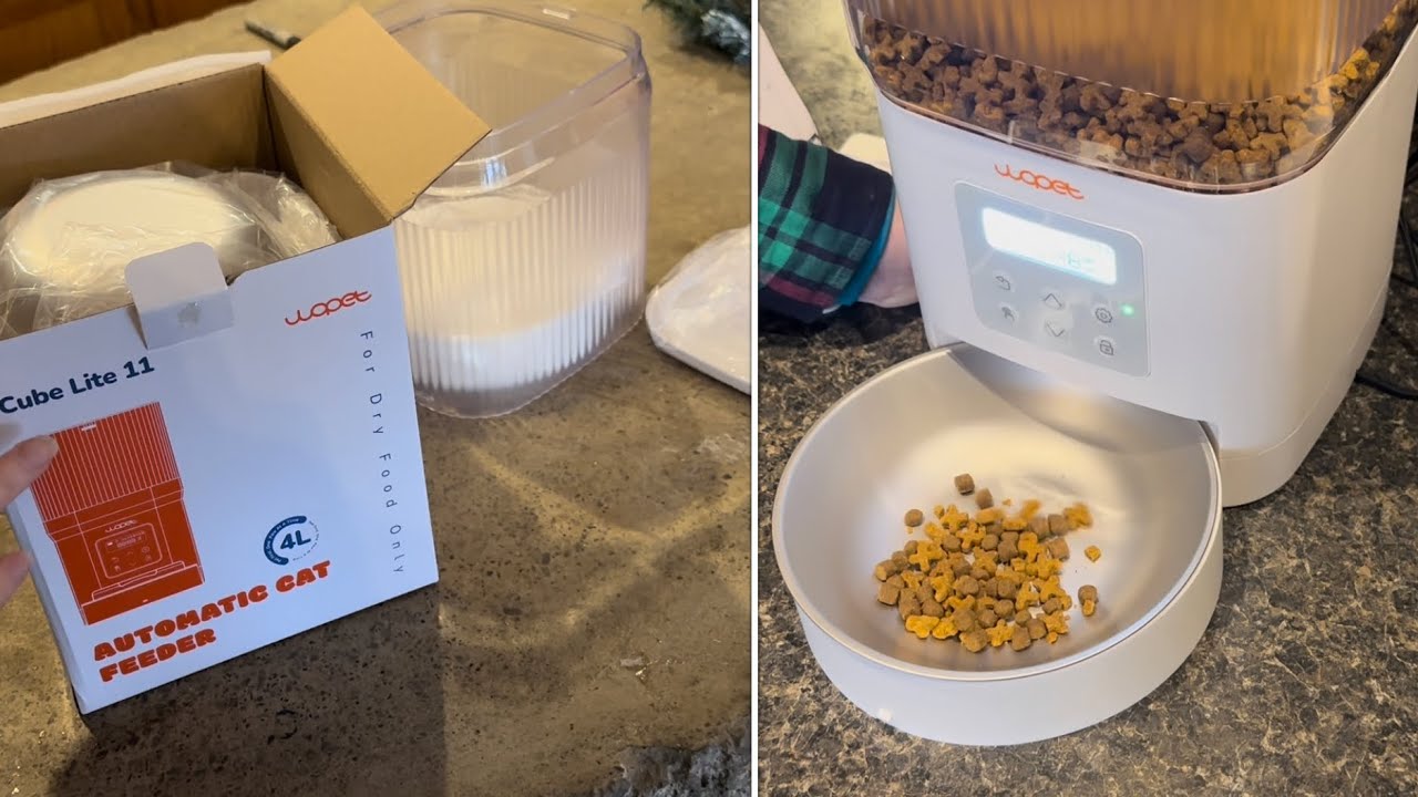 “setting up” AUTOMATIC CAT FEEDER cube light 11 (wopet)