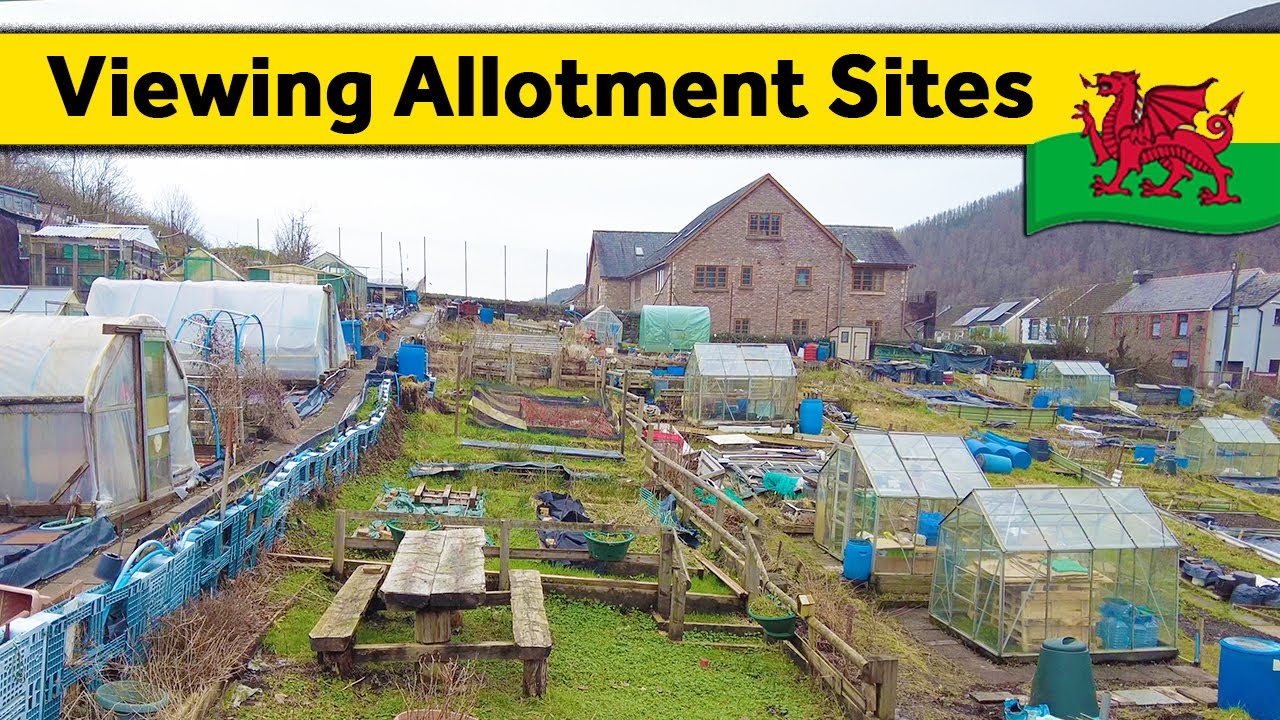 9. Allotment: Viewing Sites to Grow My Own Food (January 2024)