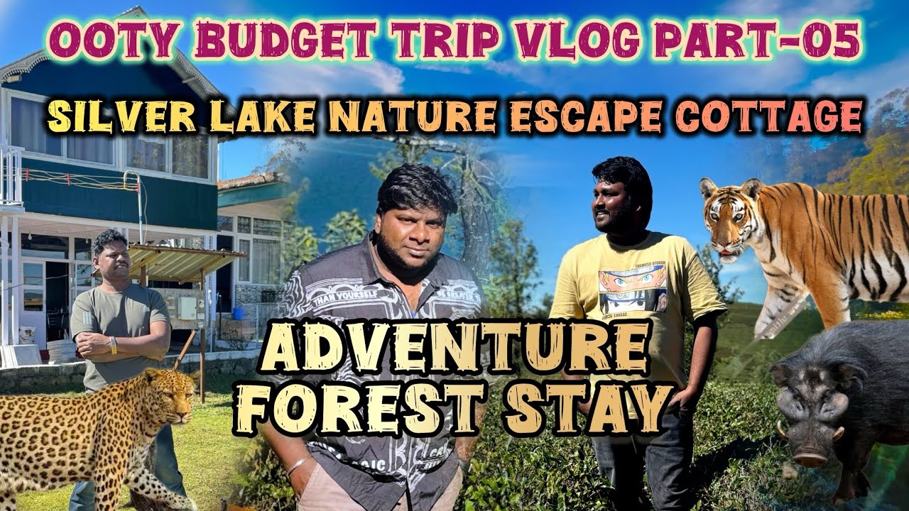 Silver Lake Nature Escape cottage #foreststay #avalanche #ooty  | Ooty Trip Vlog Part 5 @yoro_vlogs