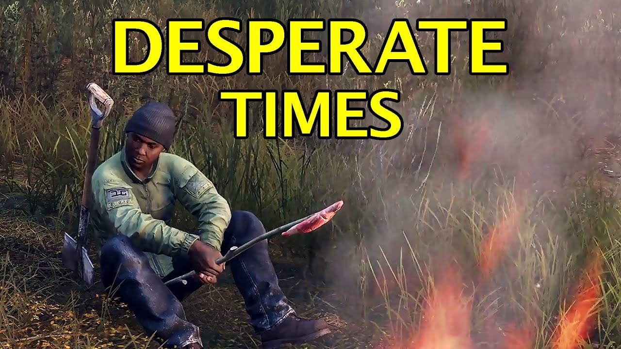 Desperate Times - DayZ