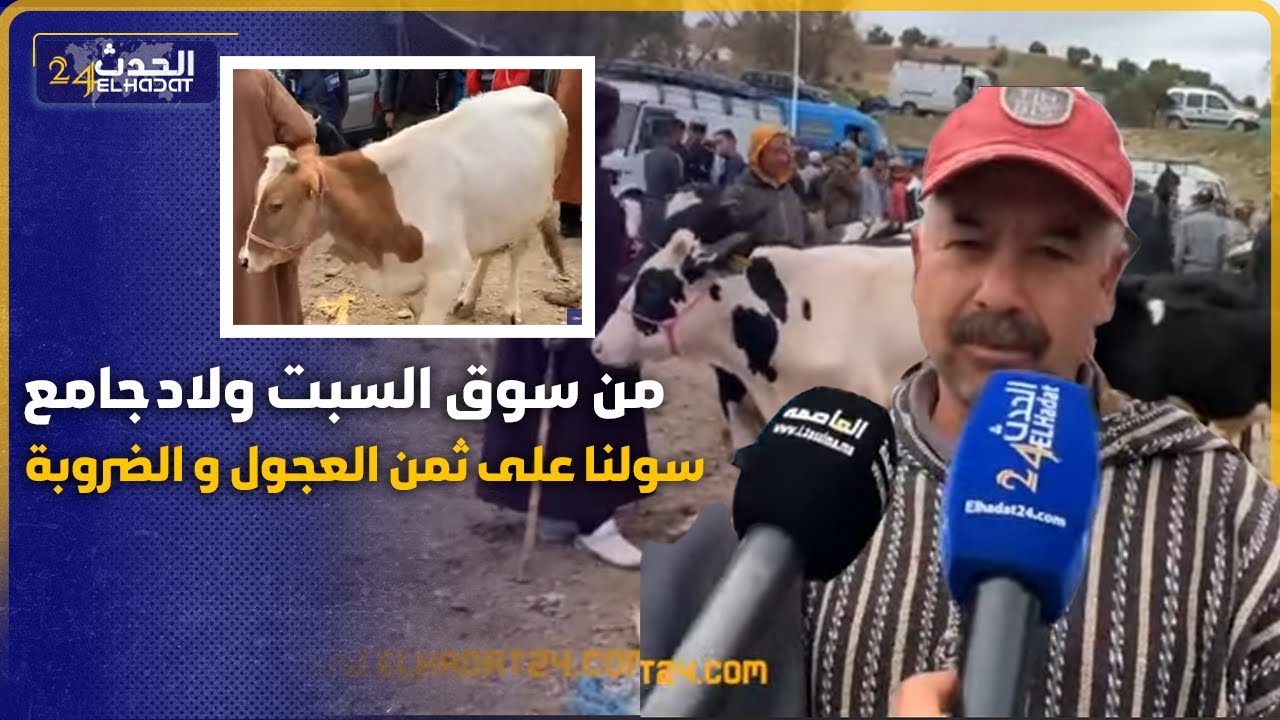 ثمن العجل والضروبة كيخـ لع فسوق السبت ولاد جامع  مولاي يعقوب