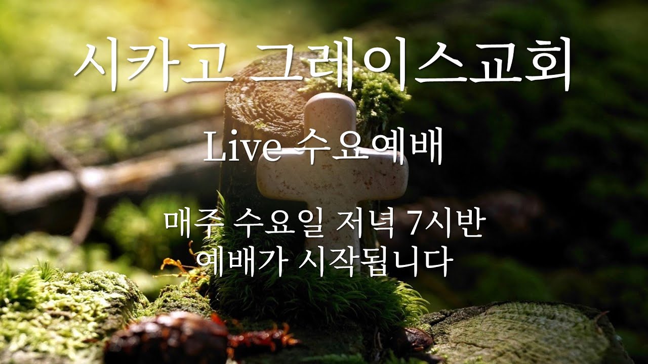 2월 25일 - (수) 수요예배 - CCLI# 20602018
