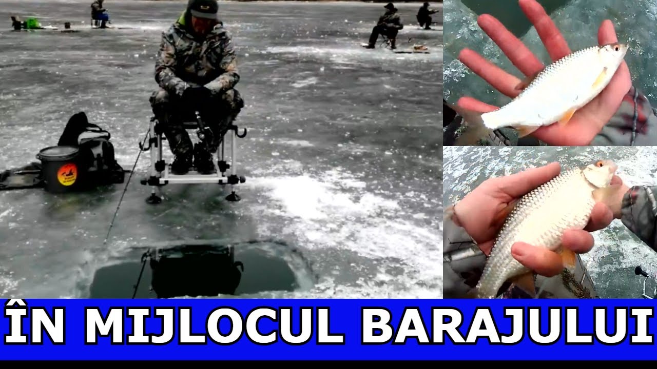 PESCUIT EFICIENT LA COPCĂ