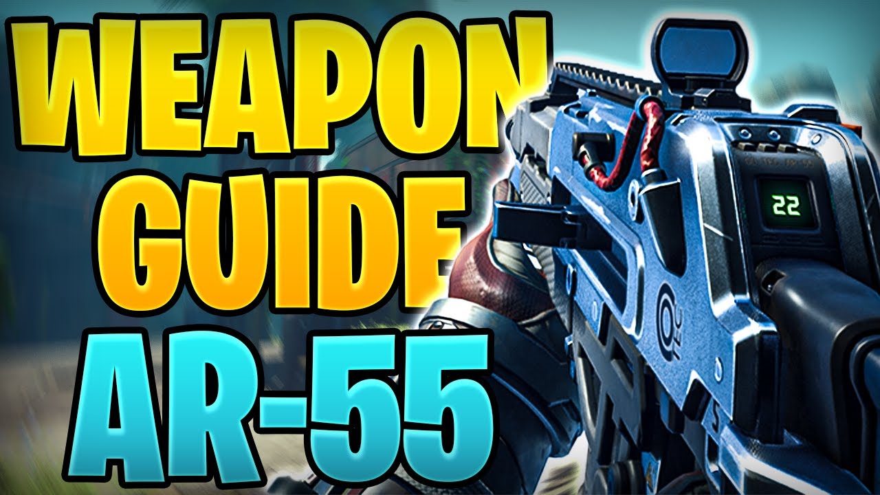 Complete Weapon Guide for the AR 55 | Best Bang for your Buck | The Cycle Frontier