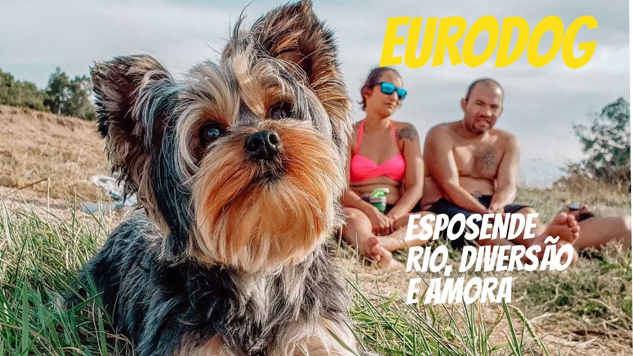 O que fazer em ESPOSENDE - Portugal