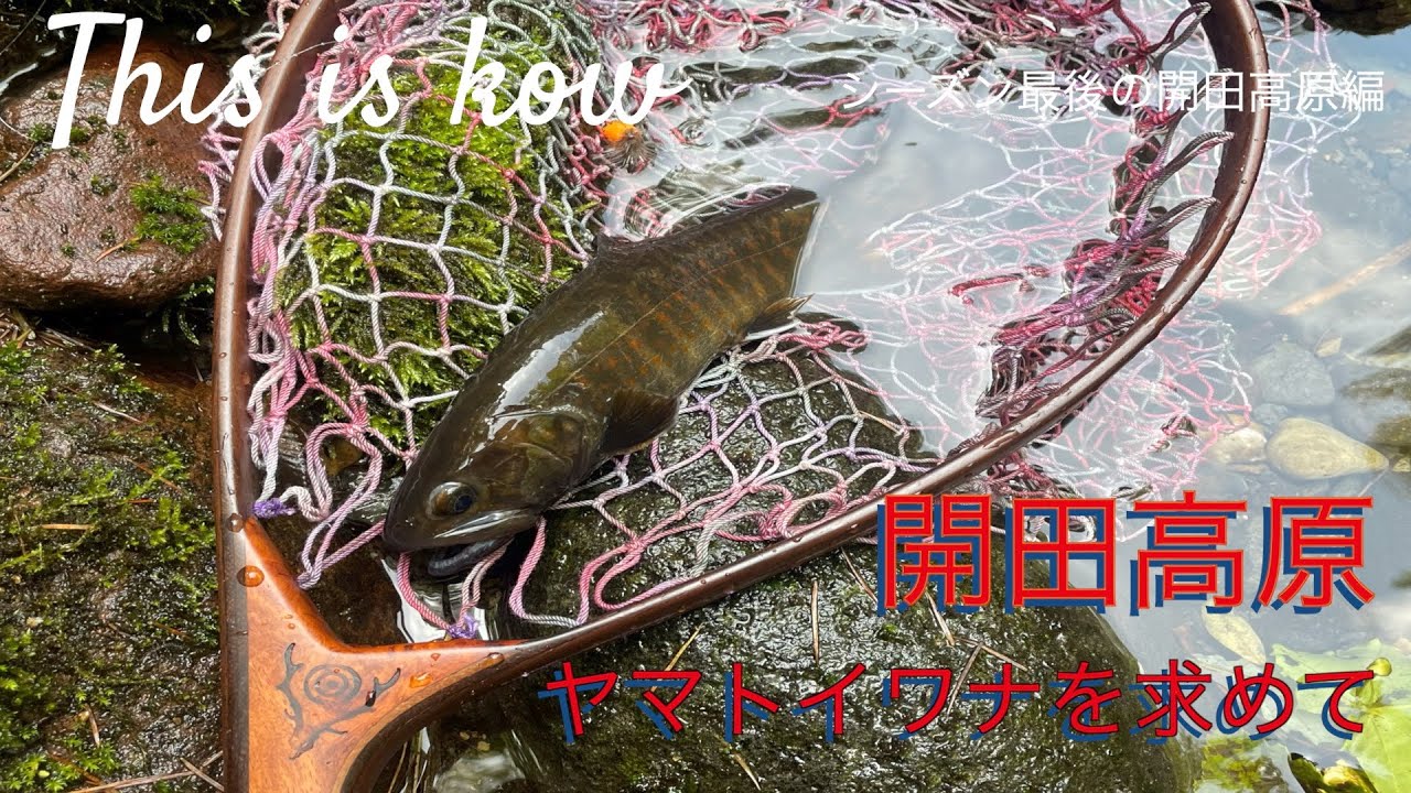 Drive FlyFishing Camp シーズン最後の開田高原